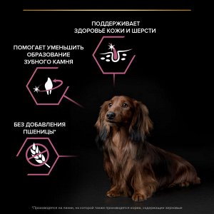 Сухой корм PRO PLAN® SENSITIVE SKIN для взрослых собак мелких и карликовых пород с чувствительной кожей, с высоким содержанием лосося, 700 г