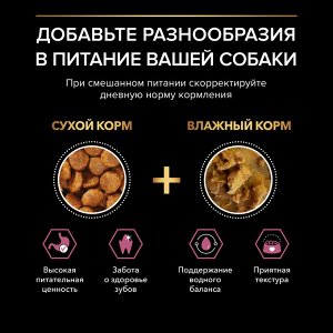 Сухой корм PRO PLAN® SENSITIVE SKIN для взрослых собак мелких и карликовых пород с чувствительной кожей, с высоким содержанием лосося, 700 г