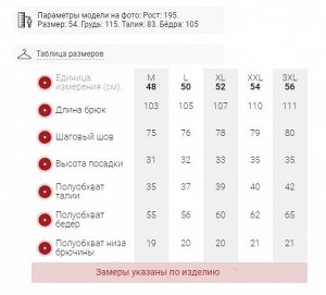 Брюки утепленный мужской зимние спортивные черного цвета 2211-1Ch