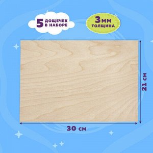 Заготовки для творчества, деревянные, без рисунков, 5 шт., 21х30 см, BRAUBERG HOBBY, 665313