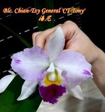 Blc. Chian-Tzy General &#039;CT-Tony&#039; (A1/AB)  *aroma*