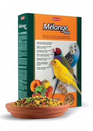 Padovan Melange Fruit сухой корм для птиц 0,3 кг