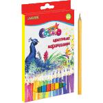 КАРАНДАШИ ЦВЕТНЫЕ &quot;COSMO&quot; 36 ЦВ