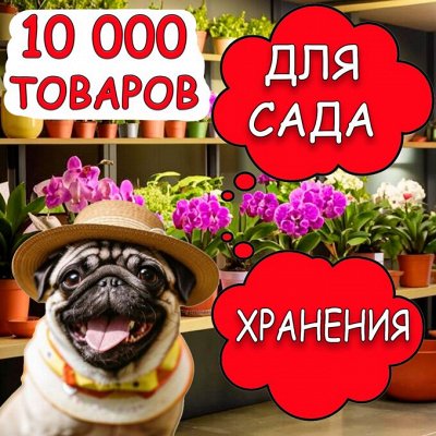 10 тысяч товаров для дома: кухня, хранение, дача, детям