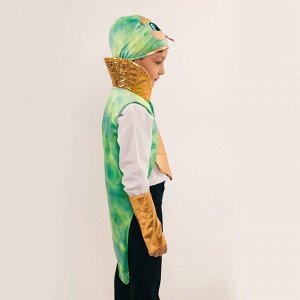 Карнавальный костюм детский «Новогодняя змея»: жилетка, нагрудник, шапка, нарукавники, рост 116-128 см