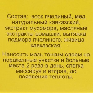 Мазь «Монастырская Живица с Мухомором». Ранозаживляющая.  Стекло. 25 мл.