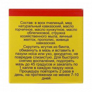 Мазь «Монастырская От гайморита», 25 мл, &quot;Бизорюк&quot;