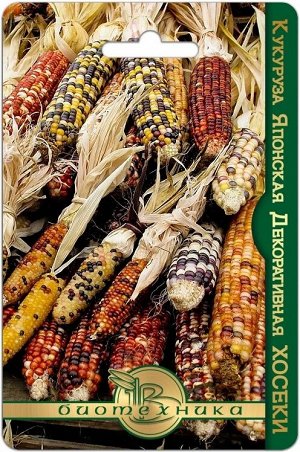 Кукуруза японская декоративная Хосеки