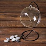 Флорариум на подвесе 23*13*11 см круг (d-отверстия 6см)