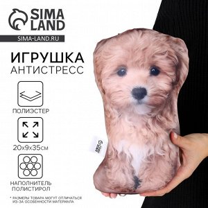 Антистресс игрушка собака «Мальтипу»