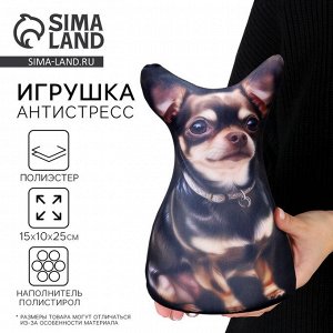Антистресс игрушка, собака "Тойтерьер"