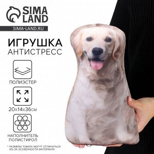 Антистресс игрушка, собака "Лабрадор"