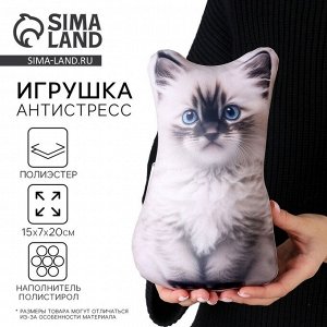 Антистресс игрушка «Котик Рэгдолл»