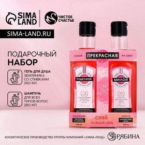 Подарочный набор косметики «Самая прекрасная», гель для душа и шампунь для волос мартини, 2x250 мл, Чистое счастье
