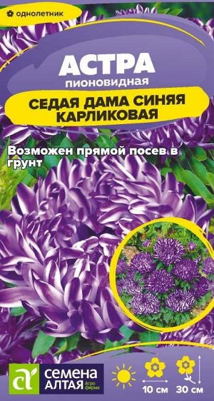 Цветы Астра Седая Дама Синяя карликовая/Сем Алт/цп 0,05 гр.