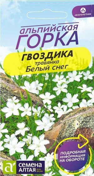 Цветы Гвоздика травянка Белый Снег/Сем Алт/цп 0,05 гр. многолетник Альпийская горка