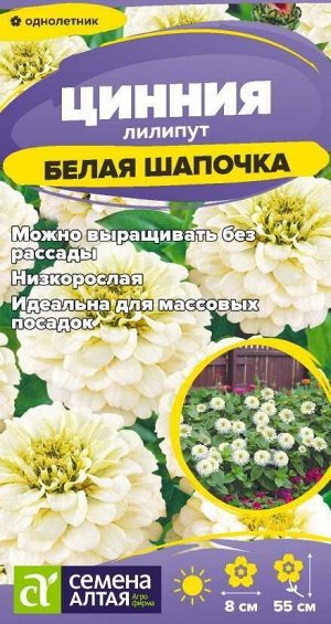 Цинния лилипут Белая Шапочка/Сем Алт/цп 0,2 гр.