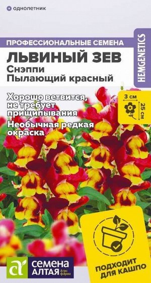 Львиный зев Снэппи Пылающий красный/Сем Алт/цп 7 шт ГОЛЛАНДИЯ