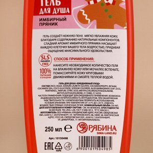 Гель для душа URAL LAB, 250 мл, аромат имбирного пряника, Новый Год