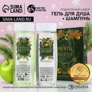 Подарочный набор новогодний «Мечты сбудутся»: гель для душа и шампунь для волос, 2x250 мл, Чистое счастье