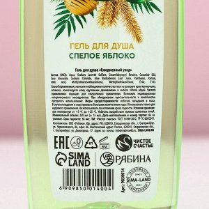 Подарочный набор новогодний «Мечты сбудутся»: гель для душа и шампунь для волос, 2x250 мл, Чистое счастье