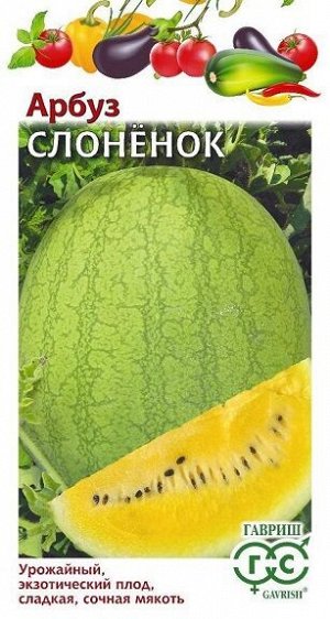 Арбуз Слонёнок (Код: 92606)