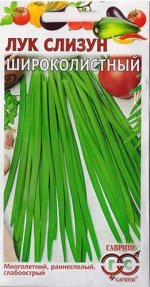 Лук слизун Широколистный (Код: 4864)