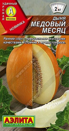 Дыня Медовый Месяц (Код: 92321)