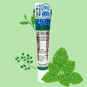 CICA Color Change Foundation База для макияжа