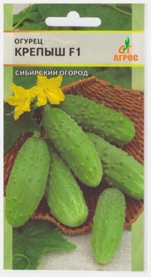 Огурец Крепыш F1 (Код: 5707)