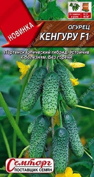Огурец Кенгуру F1 (Код: 92299)