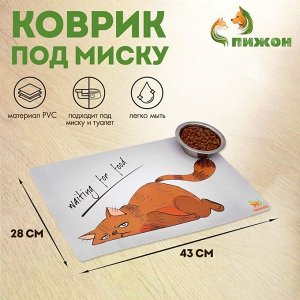 Коврик под миску "Пижон" с нескользящим основанием 43 х 28 см "Waiting for food"