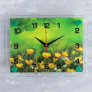 Часы настенные, серия: Цветы, "Лето", 20х26 см микс