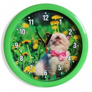 Часы настенные, серия: Животный мир, Котёнок, зелёный обод, 28х28 см, микс