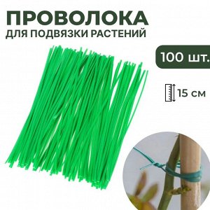 ИП Тарасова Надежда Юрьевна Проволока для подвязки, 15 см, 100шт, LBR10416
