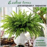 Еловые ветки