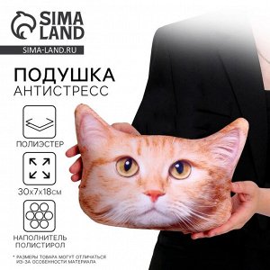 Подушка декоративная антистресс, кошка «Рыжий»