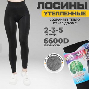 Женские лосины, утепленные "Шарманка" 6600D, 2-5 размер