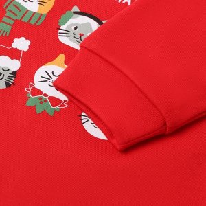 Комбинезон с шапочкой Крошка Я "Зимние котики".