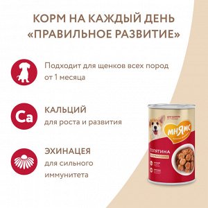 Мнямс Кусочки в соусе с телятиной для щенков всех пород «ПРАВИЛЬНОЕ РАЗВИТИЕ» 400 г
