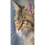 Книга для записей А6 80 л &quot;Канц-Эксмо Живая планета. Кот&quot; 7БЦ, глянц., лам. 1/26 арт. КЗ6802838