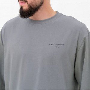 Футболка мужская MIST Break, серый