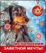 Магнит.