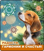 Магнит.
