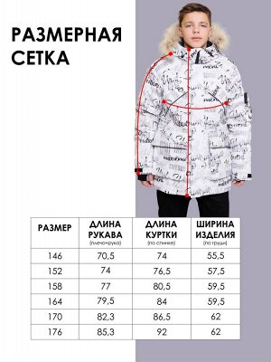 Парка. Цвет: Черный