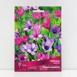 Бабиана Смесь 5/+ 10шт (Поиск)