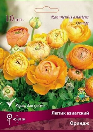 Лютик Ориндж 7/8 10шт (Поиск)