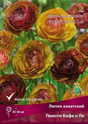 Лютик Пикоти Кафе О Ле 7/8 10шт (Поиск)