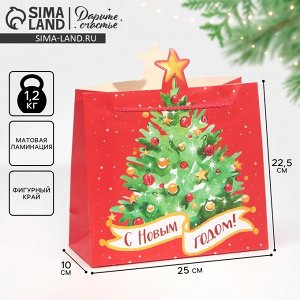 Пакет подарочный «Ёлочка», 25 ? 26 ? 10 см     7724339