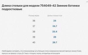 Зимние Ботинки